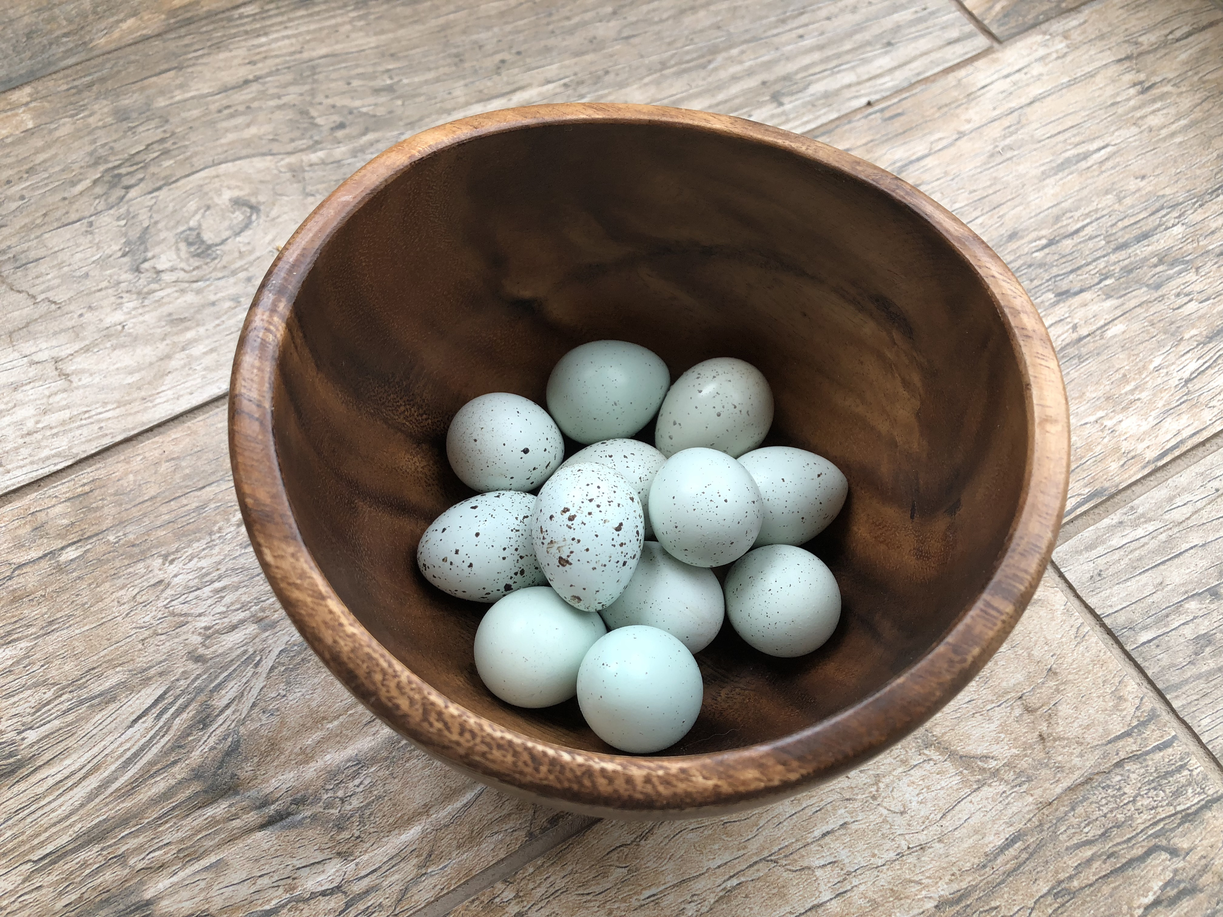 Quail Eggs
